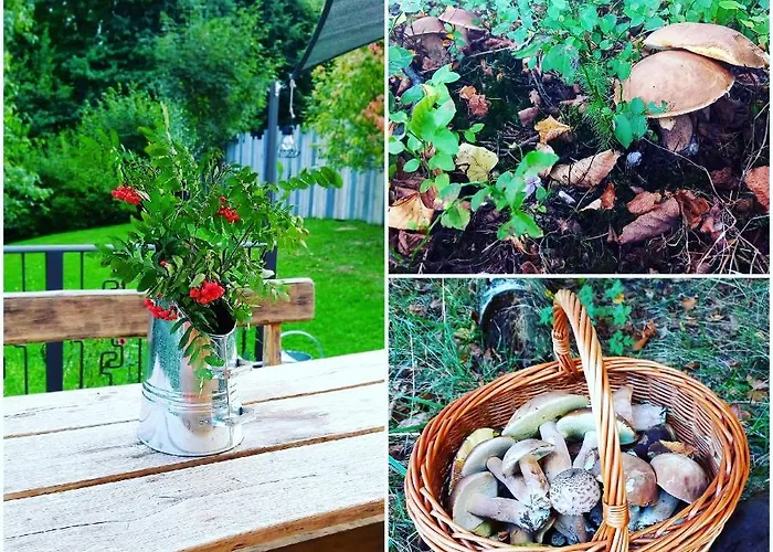 Loft Wapiti Hébergement de vacances *