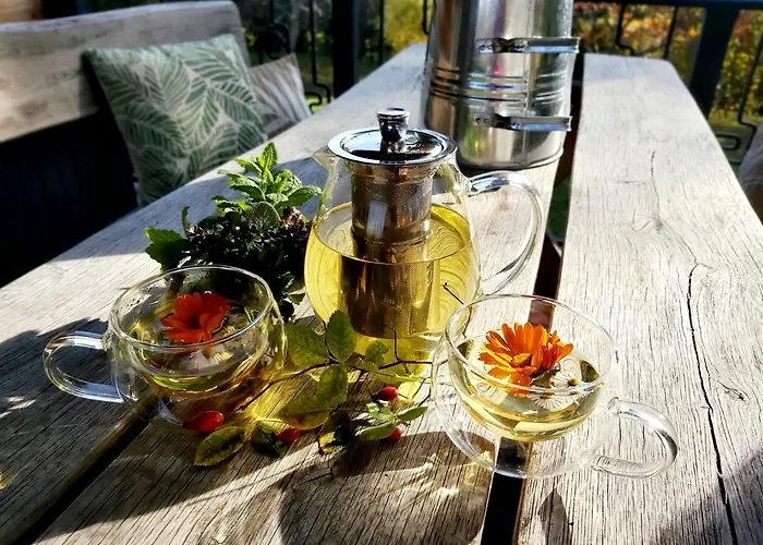 Loft Wapiti * Hutisko