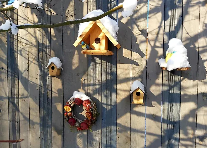 Hébergement de vacances Loft Wapiti *